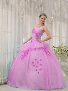 Custom Made Sweetheart Organza Appliqued Lilac Quince Dress