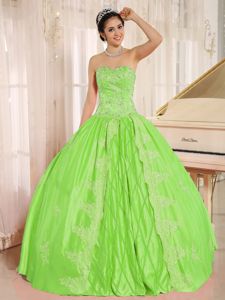 Spring Green Sweetheart Pleated Embroidery Beading Quince Dresses