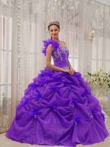 Purple One Shoulder Appliques Organza Pick-ups Dress for Quince