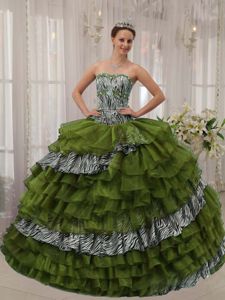 Olive Green Zebra Taffeta and Organza Layers Dress for Quince