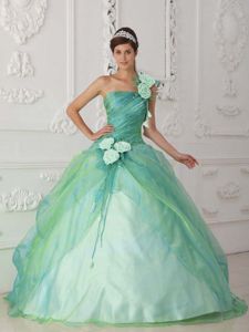 One Shoulder Organza Beaded Dresses for Quince with Flowers