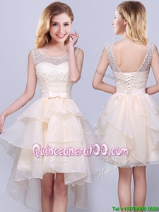 Fantastic Organza Scoop Sleeveless Lace Up Lace and Ruffles Dama Dress for Quinceanera inChampagne