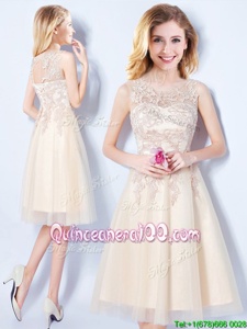 Luxury Scoop Champagne A-line Appliques Quinceanera Dama Dress Lace Up Tulle Sleeveless Knee Length