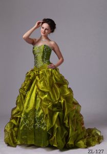Olive Green Pick-ups Embroidery Sweet 15 Dress with Brush Train