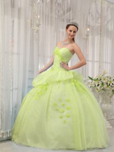 Sweetheart Floor-length Orgnaza Appliques Dress for Quince