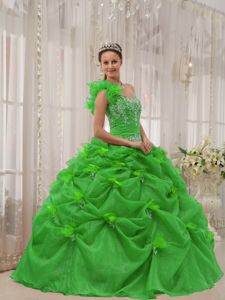 Green One Shoulder Organza Pick-ups Dress for Quince