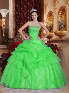Green Floor-length Organza Beaded Quinceanera Gown Dresses