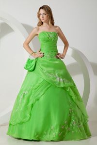 Charming Green Organza Quinceanera Gown Dresses with Embroidery