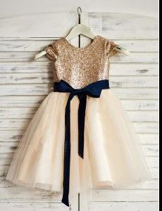 Champagne A-line Tulle Scoop Sleeveless Sashes ribbons and Sequins Mini Length Zipper Flower Girl Dresses