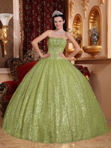 Fashionable Strapless Ball Gown Quinceanera Dresses with Sequins
