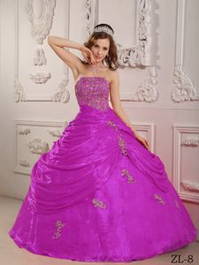 Customize Organza Fuchsia Strapless Appliques Dress for Quince