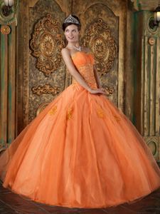 Chic Orange Sweetheart Appliques Accent Organza Quinceanera Dress