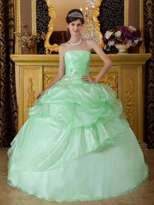 Apple Green Strapless Appliques and Pick-ups Accent Quince Dress