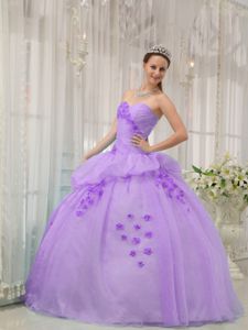 Lilac Strapless Pick-ups with Floral Appliques Quinces Dresses