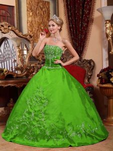 Spring Green Strapless Embroidery Sweet 15 Dresses Custom Made
