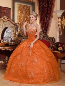 Strapless Appliques Organza Ball Gown Dresses for 15 Designer