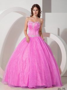 Sweet Organza and Satin Appliques Quinceanera Gowns in Fashion