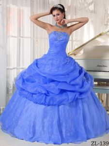 Vintage Organza Appliques Dress for Quinceanera with Floor-Length