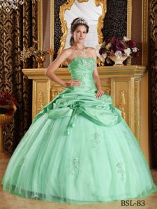 Apple Green Taffeta and Tulle Quince Dress with Ruched Appliques