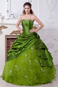 Strapless Ruche Embroidery Quinceanera Gowns in Olive Green 2014