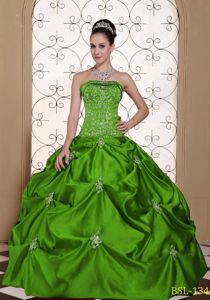 Taffeta Pick-ups Embroidery Green Quinceanera Gown Dresses