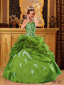 Best Ball Gown Pick-ups Appliqued Olive Green Sweet 15 Dress