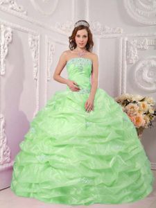 Wholesale Pick-ups Appliqued Dress for Sweet 15 in Apple Green