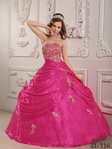 Popular Strapless Appliqued Hot Pink Quinceanera Gown Dresses