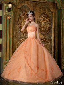 2012 Hot Sale Orange Quinceanera Gown Dress with Appliques