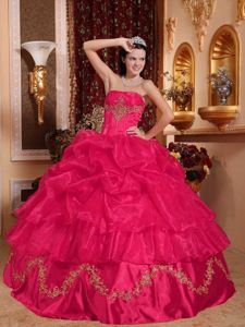 Strapless Organza Pick-ups Embroidery Beading Dresses Quinceanera