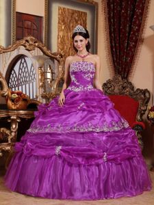Fuchsia Ruche Bodice Appliques Dress for Sweet 15 with Pick-ups