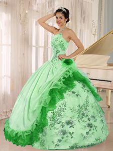 Special Style Two-toned Appliqued Quinceanera Dresses Online