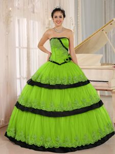 Customized Appliqued Spring Green and Black Sweet 16 Dress