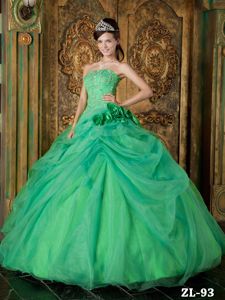 Green Ball Gown Organza Sweet Sixteen Dresses with Flowers