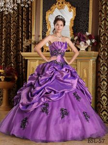 Princess Organza Pick-ups Quinceanera Dresses with Appliques