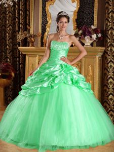 Eye-catching Apple Green Ball Gown Taffeta and Tulle Quinceanera Dresses