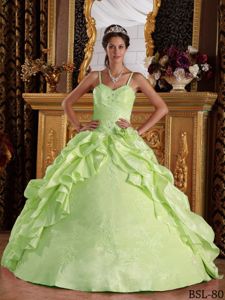 Lovely Yellow Green Ball Gown Quinceanera Dress with Straps