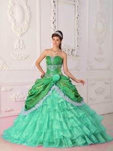 Apple Green and Lime Green Sweet 15th Dress with Appliques