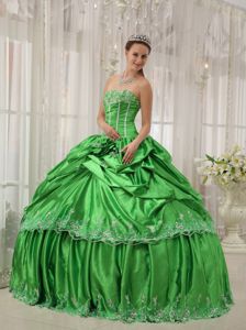 Beaded and Appliqued Quinceanera Dresses