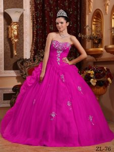 Fuchsia Organza Sweetheart Dresses for 15 with Sliver Accents