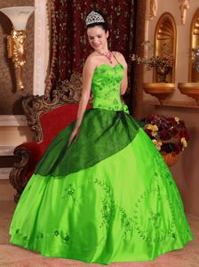 Spring Green Sweet Sixteen Dress with Embroidery with Beading