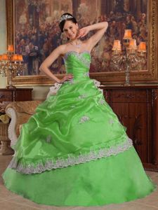 Sweetheart Spring Green Dress for Sweet 15 with White Appliques
