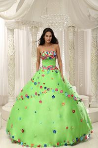 Colorful Floral Appliques Spring Green Strapless Dress for 15