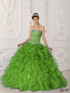 Spring Green Ruffled Organza Appliques Quinceanera Gown Dresses