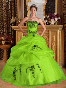 Yellow Green Floor-length Organza Quinceanera Dress with Black Embroidery
