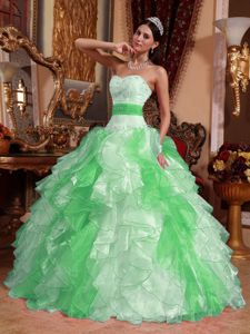 Multi-color Ball Gown Ruffled Organza Quinceanera Gown Dresses