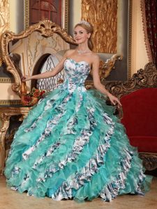 Multi-color Organza Quinceanera Gown Dresses with Print