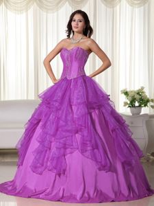 Gorgeous Purple Dress for Quinceaneras with Embroidery