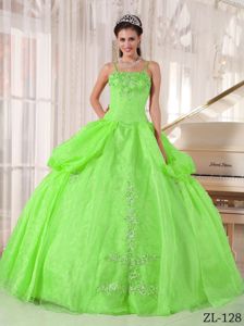 Spaghetti Straps Appliqued Spring Green Dress for Sweet 15