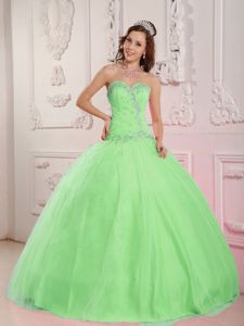 Romantic Sweetheart Appliqued Apple Green Sweet 16 Dresses